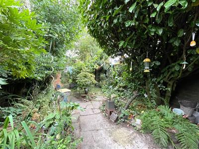Picture 23